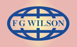 ✓ FG-Wilson 10000-00042 Шланг масляный   